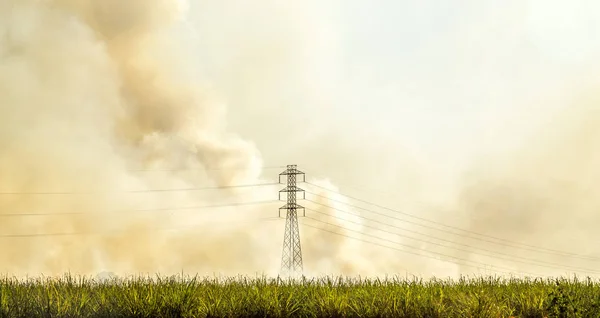 Sugar cane Fire plantation burn