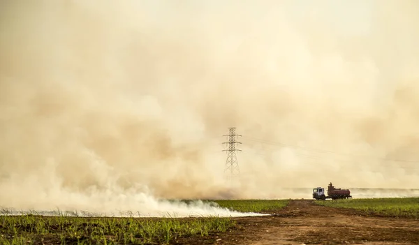 Sugar cane Fire plantation burn