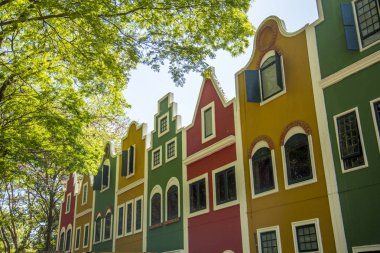 Holambra, Sao Paulo, Brezilya - 07 Eylül 2018: Renkli ön Expoflora Çiçek Fuarı Holambra, Sao Paulo, Brezilya