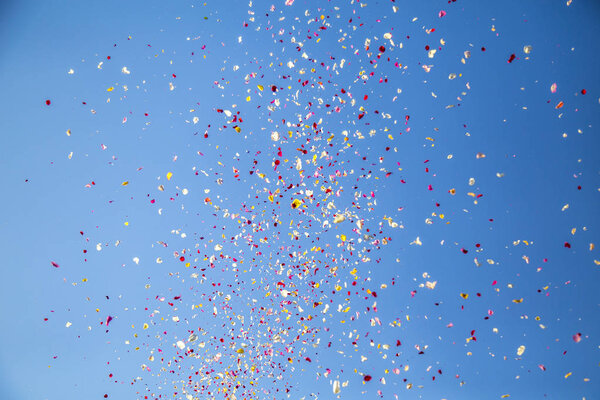 Дождевая традиция голамбры
