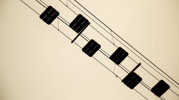 лазание по деревьям
