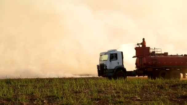 Suikerriet vuur plantage — Stockvideo