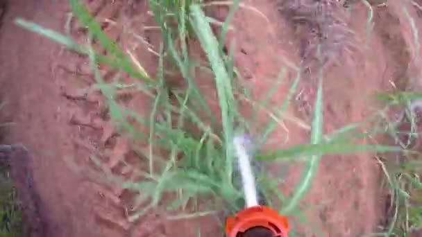 Trator fertilizante cana-de-açúcar — Vídeo de Stock