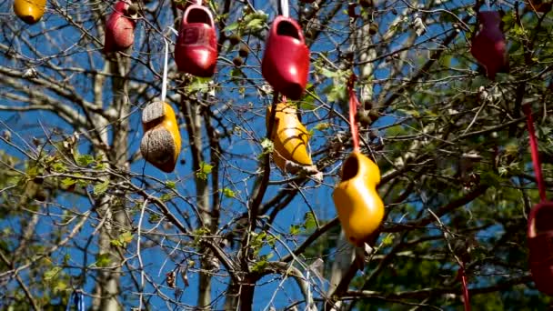 Chaussures traditionnelles néerlandais en bois — Video