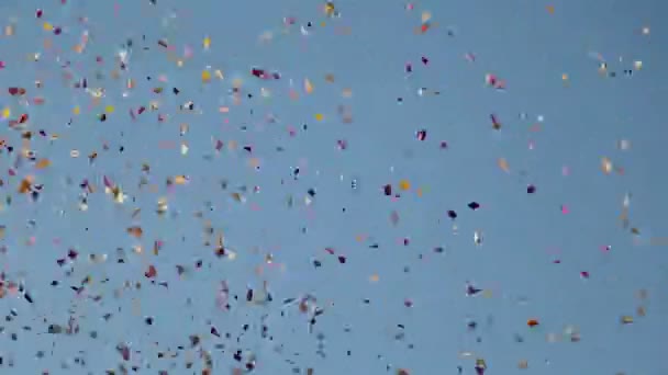 Holambra 花びら雨伝統 — ストック動画