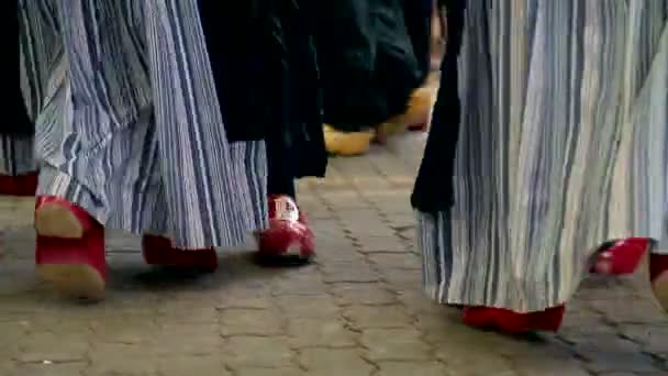 Scarpe tradizionali danza olandese in legno — Video Stock