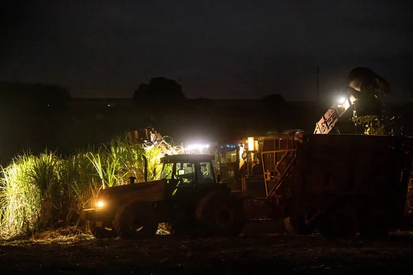 Trzciny Cukrowej Hasvest Plantacji Noc — Zdjęcie stockowe