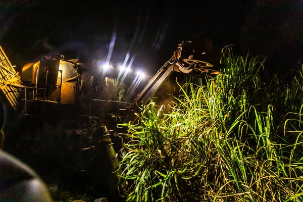 Suikerriet Hasvest Plantage Nacht — Stockfoto