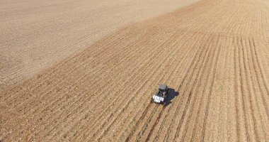 Gübre ve böcek ilaçlarıyla şeker kamışı ekme 
