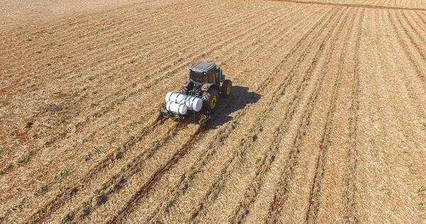 Gübre ve böcek ilaçlarıyla şeker kamışı ekme 