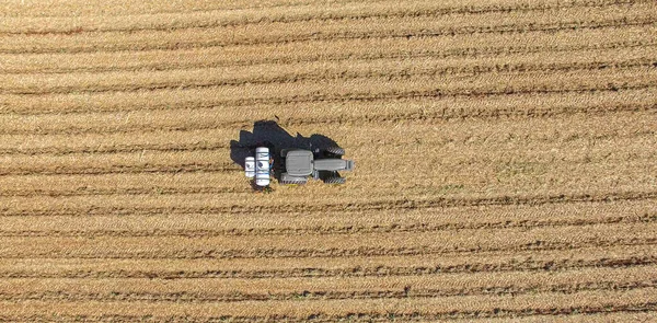 Suikerriet planten door het aanbrengen van meststoffen en insecticiden met — Stockfoto