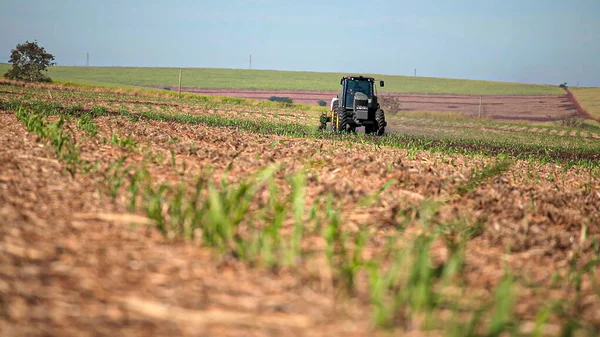 Plantio de cana-de-açúcar através da aplicação de fertilizantes e inseticidas com — Fotografia de Stock