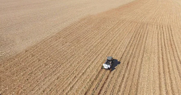 Gübre ve böcek ilaçlarıyla şeker kamışı ekme 