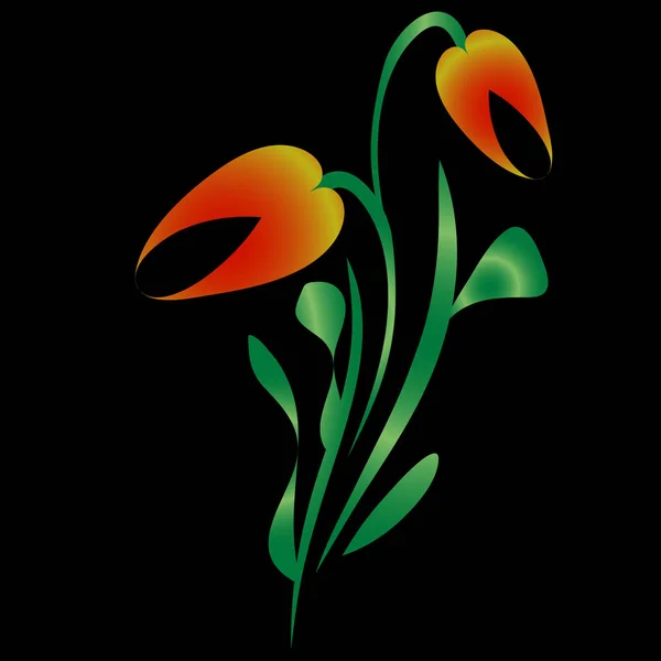 Tulipe Vectorielle Orange Pour Carte Vœux Sur Fond Noir Pour — Image vectorielle