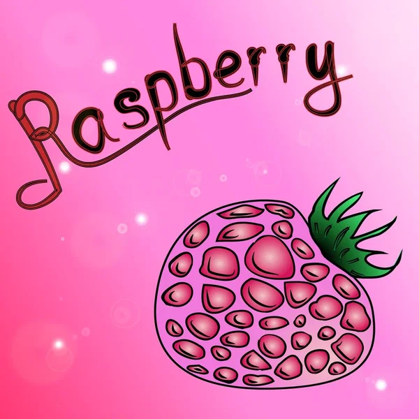 Raspberry Fondo Magenta Frambuesas Dibujadas Esquemáticamente — Archivo Imágenes Vectoriales