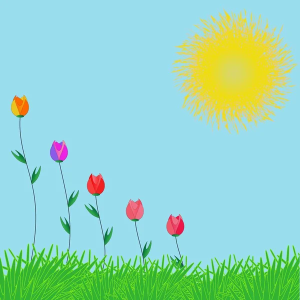 Carte Solaire Herbe Ciel Soleil Les Tulipes Colorées Résumés — Image vectorielle