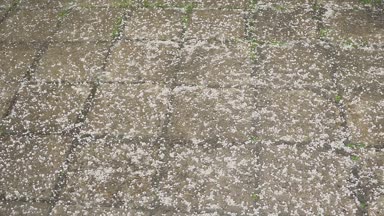 büyük miktarda buz tanecikleri selam olsun. Şehir fırtına.