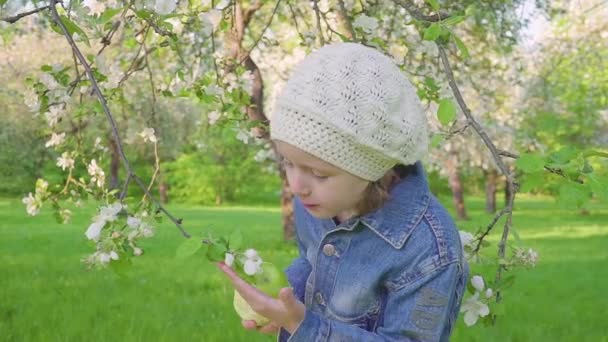 Маленькая девочка ест зеленое яблоко в цветущих садах . — стоковое видео