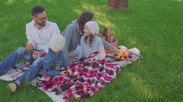 Famiglia allegra seduta sull'erba durante un picnic in un parco, tutti fanno colazione. c'è un cesto con pasto. Frutta fresca — Video Stock