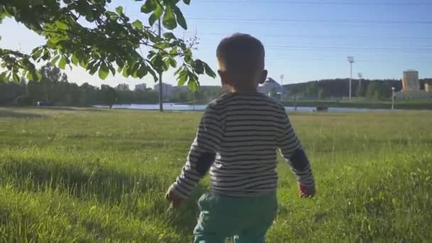 Niño huye de la cámara en la hierba verde. El niño da sus primeros pasos sobre una hierba fresca en un parque de la ciudad. Vista trasera. filmación stedicam — Vídeos de Stock