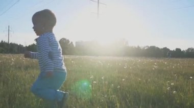 Mutlu bir çocukluk çalışır yeşil çim ve gülümseyerek. Küçük çocuk bir şehir parkında bir taze çimenlerin üzerinde ilk adımlarını alır. Beyaz dandelions alanında