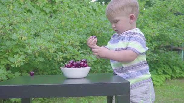 A kisfiú étkezési cseresznye-kertben. Az asztalon egy tál cseresznye. — Stock videók