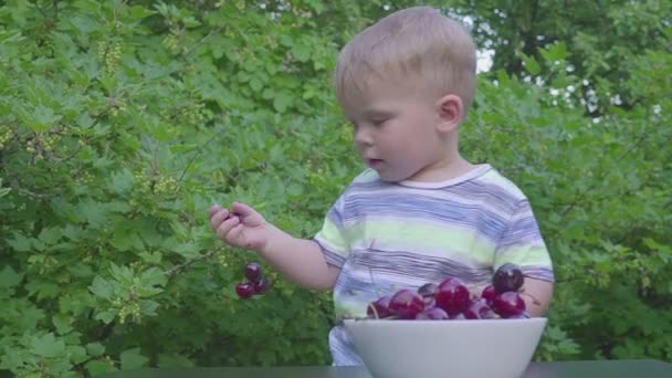 Мальчик ест вишни в саду. Вишни в тарелке на столе . — стоковое видео