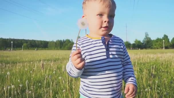 A boldog fiú megy egy fehér pitypang virág a kezében, erő vonal közelében — Stock videók