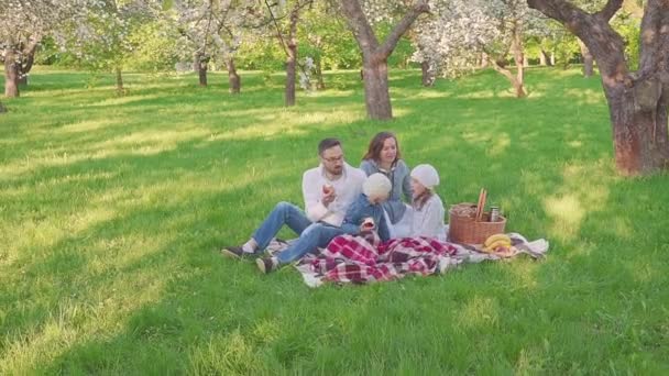 Fröhliche Familie sitzt auf dem Gras während eines Picknicks in einem Park, alle frühstücken. Es gibt einen Korb mit Essen. frisches Obst — Stockvideo