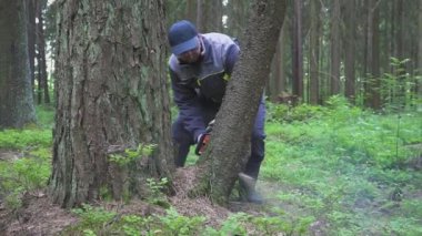 Ahşap testere testere üniformalı erkeklere