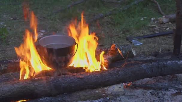 Приготовление пищи с каулдроном на костре в вечернем лесу — стоковое видео