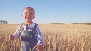 Küçük çiftçi. Mutlu genç çocuk olgun çavdar, güneşli bir gün ağır çekim alanıyla üzerinde çalışan. kavramı.