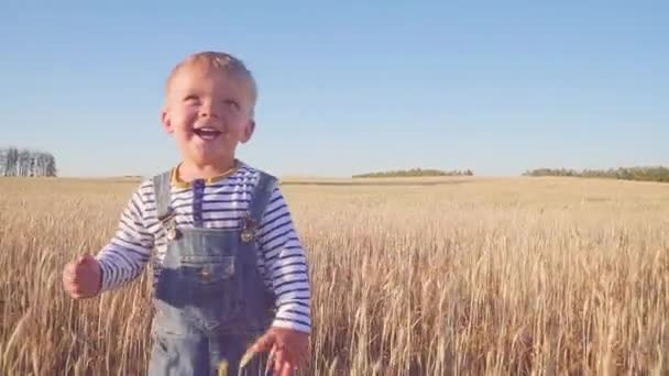 Pequeno agricultor. Jovem feliz correndo em campo com centeio maduro no dia ensolarado câmera lenta. conceito . — Vídeo de Stock