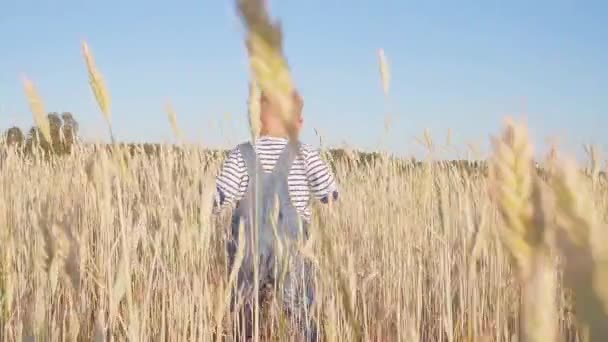 Små jordbrukare. Glad ung pojke kommer på fältet med mogen råg på solig dag slowmotion. konceptet. — Stockvideo