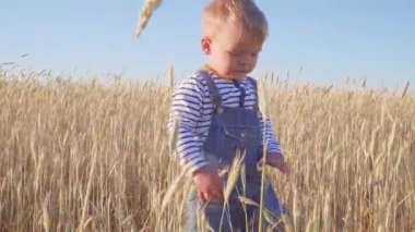 Mutlu genç çocuk olgun çavdar alanıyla güneşli gün oluyor. kavramı.