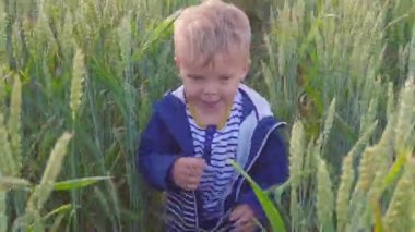 Buğday alanıyla güneşli gün çalışan mutlu genç çocuk. Küçük çiftçi kavramı.