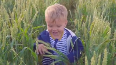 Güneşli bir gün ağır çekim buğday ile sahada çalışan mutlu genç çocuk. Küçük çiftçi kavramı.