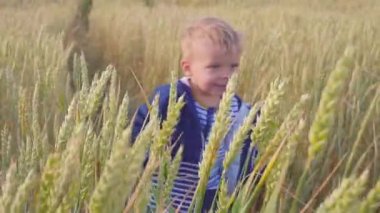 Güneşli bir gün ağır çekim buğday ile sahada çalışan mutlu genç çocuk. Küçük çiftçi kavramı.