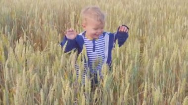 Buğday alanıyla güneşli gün çalışan mutlu genç çocuk. Küçük çiftçi kavramı.