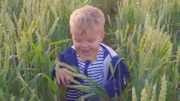 Happy νεαρό αγόρι τρέχει σε χωράφι με σιτάρι στην ηλιόλουστη μέρα αργή κίνηση. έννοια της μικρό αγρότη. — Αρχείο Βίντεο