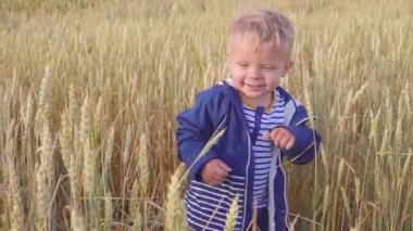 Buğday ile sahada güneşli gün mutlu genç çocuğa. Küçük çiftçi kavramı. ağır çekim