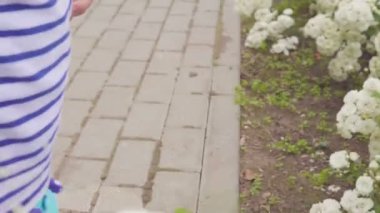gül gül bush yakınındaki küçük çocuk playes. 4k