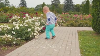 küçük boyis playes gül bush yakınındaki güllü.