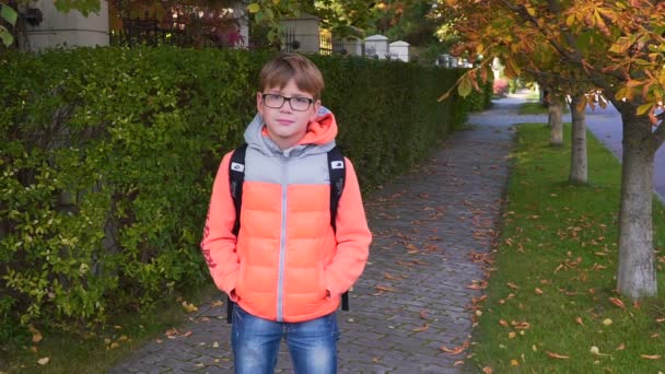 Retrato de un colegial que de pie, sonriendo y mirando a la cámara. El final del verano, el comienzo del otoño — Vídeo de stock