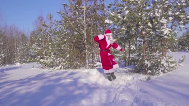 Szczęśliwy Santaklaus skacze, tańce i raduje się w zimowym lesie. Zwolnionym tempie — Wideo stockowe
