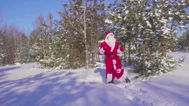 Fröhliche Santaklaus hüpfen, tanzen und jubeln im Winterwald. Zeitlupe — Stockvideo