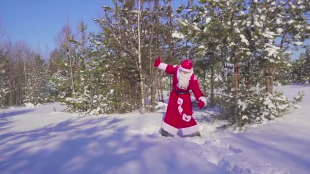 Feliz Santaklaus salta, baila y se regocija en el bosque de invierno. Movimiento lento — Vídeo de stock