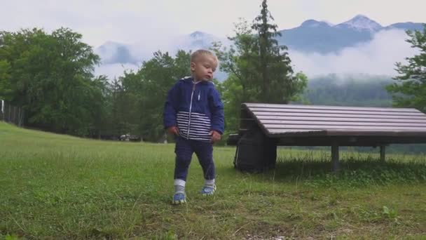 Den lilla pojken går nära fjällsjön. Kör och plaskar i naturen. — Stockvideo