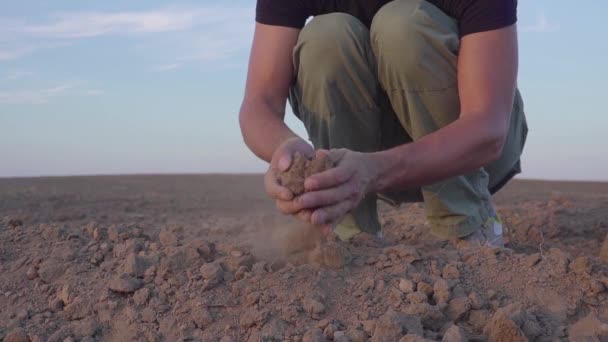Händerna på den unga bonden hålla bördig jord på fältet med majs plantor. Ekologiska produkter-konceptet. slowmotion — Stockvideo