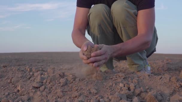 The hands of the young farmer keep fertile soil on the field with corn seedlings. Organic Products Concept. slow motion — Stock Video